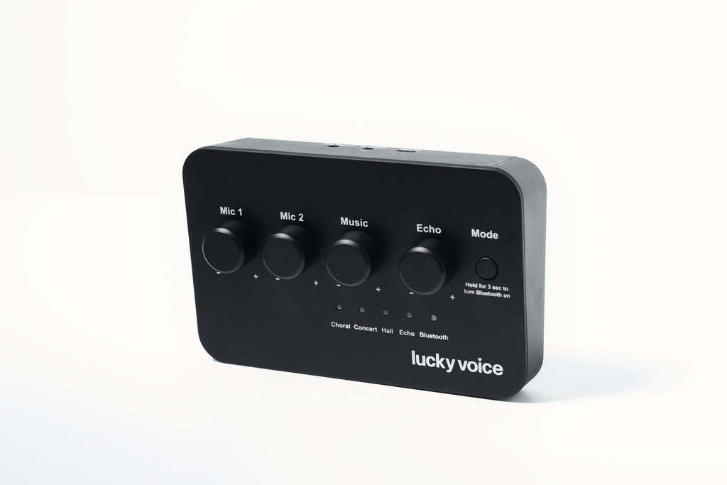 Lucky Voice Rose Gold Karaoke Machine 2.0